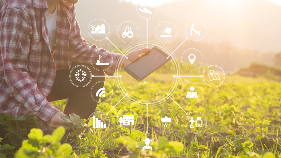 Digitalisierungs-Icons über einem Bild von einem Salatfeld