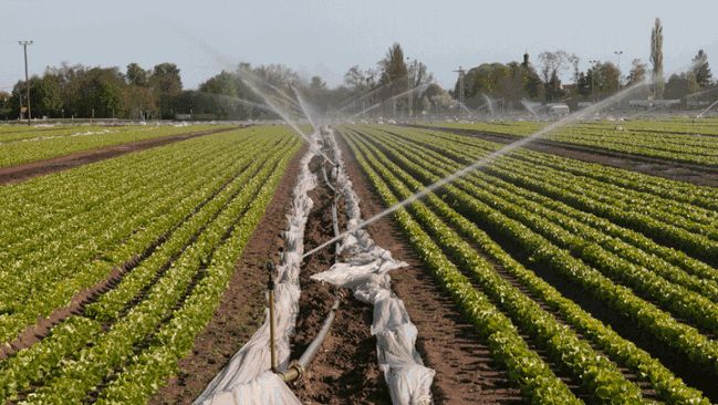 Organisation der Wasserbereitstellung für Bewässerung im Gartenbau, Anlage auf einem Feld.