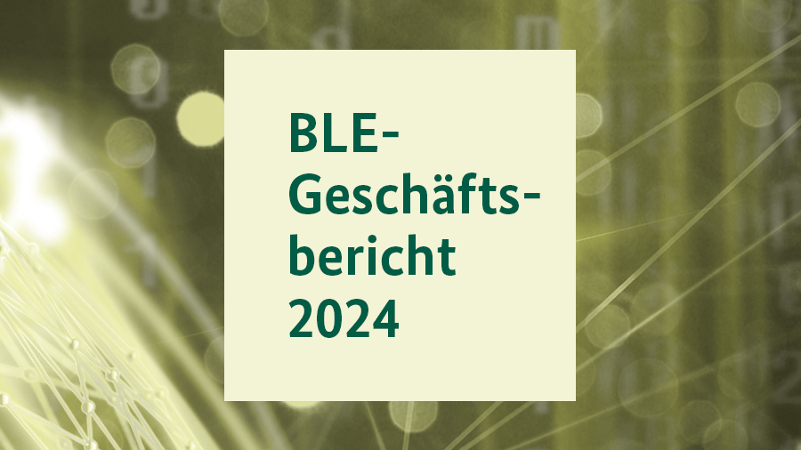 Logo zum Geschäftsbericht auf der Startseite Vielfalt
