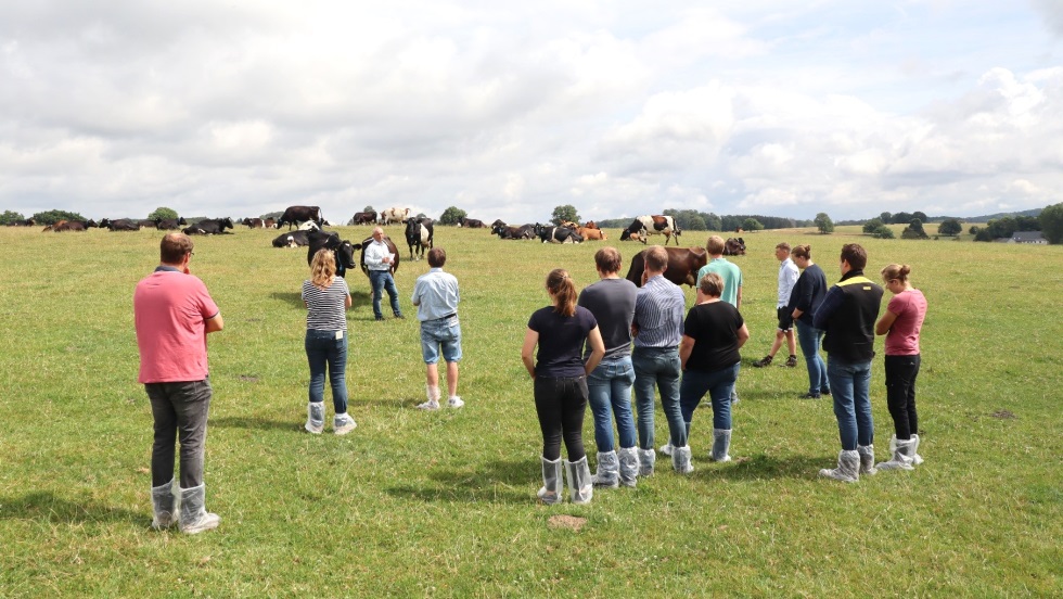 Eine Menschengruppe steht auf einer Wiese.