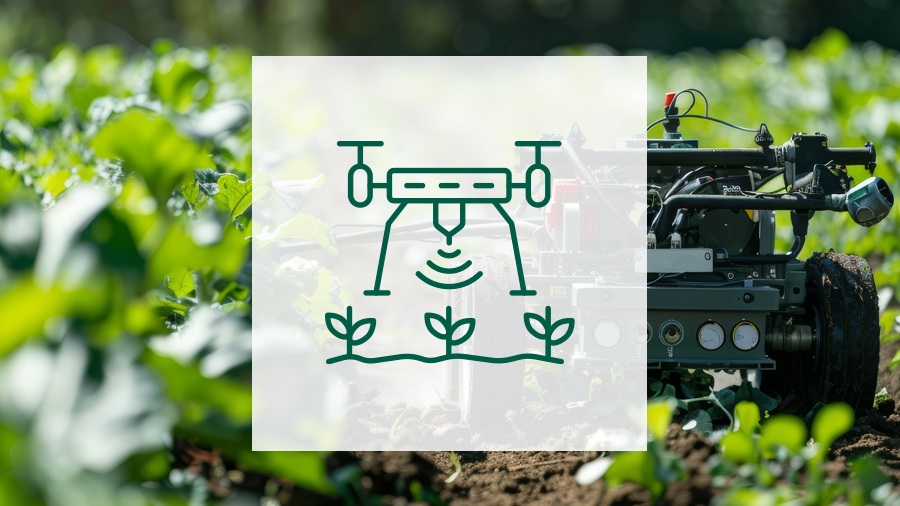 Jungpflanzen mit Drohne und Piktogramm einer Drohne