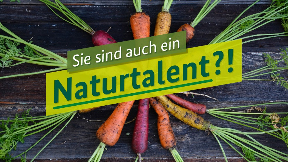 Bunte Möhren hinter dem Schriftzug "Sie sind auch ein Naturtalent?!"