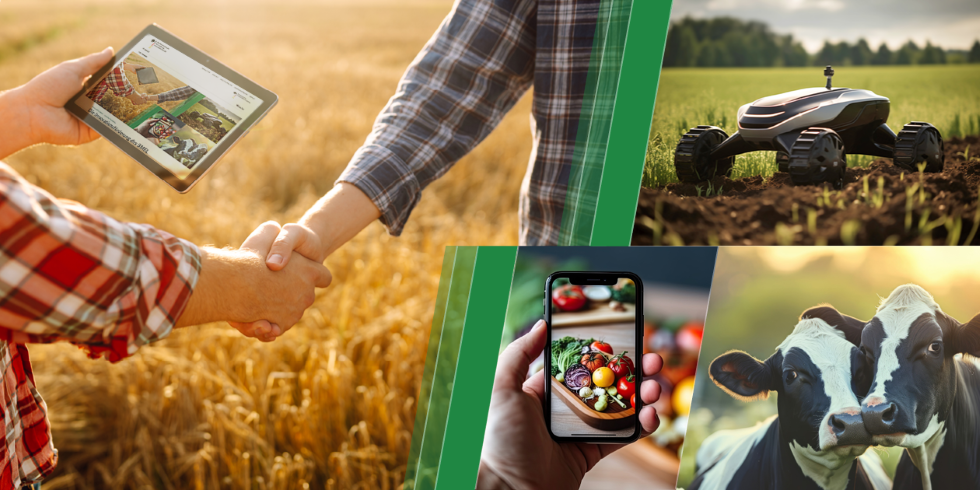 Mit dem Innovationsprogramm des BMLEH sollen Innovationen in den Förderbereichen Pflanzenproduktion, Nutztiere, Technik und umweltgerechte Landbewirtschaftung sowie Lebensmittel und Ernährung gefördert werden. Die Förderung von Vernetzung und Wissenstransfer bildet eine weitere Säule des Programms.