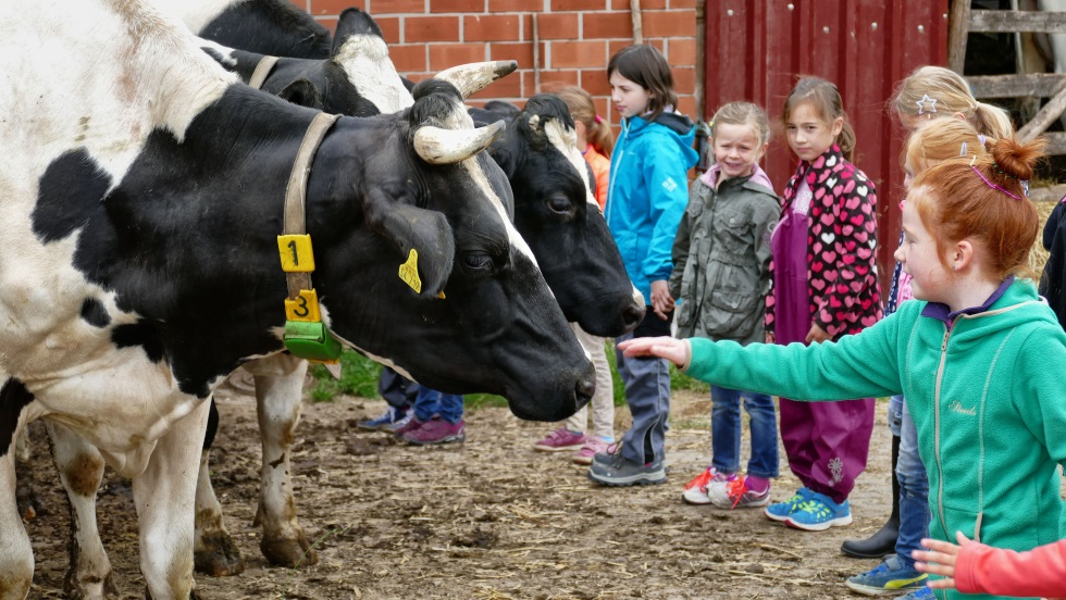 Kinder erleben auf einem der Demonstrationsbetriebe, hier der Tiggeshof in Arnsberg, wie Ökolandbau funktioniert.