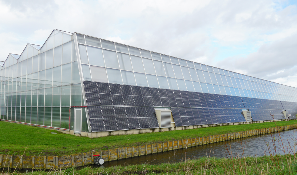 Die außen angebrachten Solarmodule liefern zusätzliche Energie zum Betrieb dieses Gewächshauses.