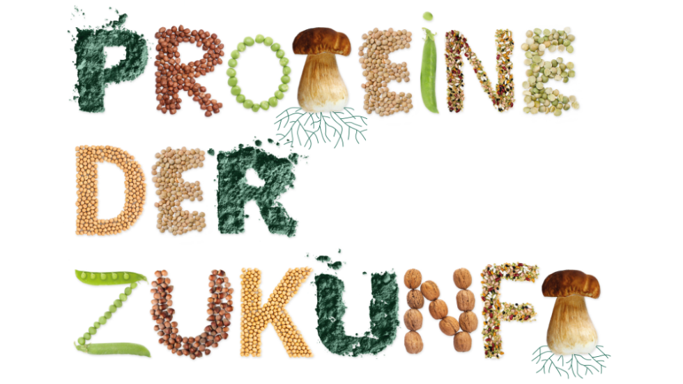 Logo Kompetenzzentrum Proteine der Zukunft