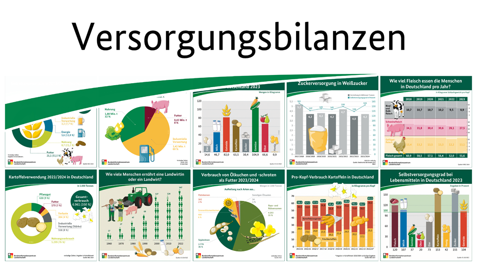 Grafische Versorgungsbilanzen der jeweiligen Produkte stellen die Erzeugung der rechnerischen Verwendung gegenüber und informieren über die Versorgungssituation.