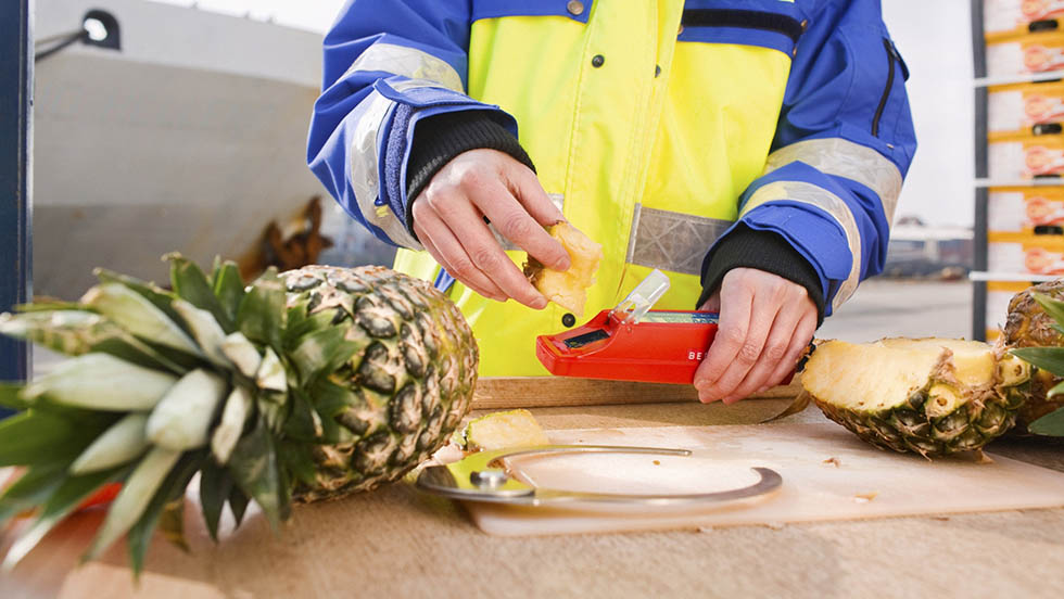 Kontrolle des Zuckergehalts einer aufgeschnittenen Ananas anhand eines Messgeräts